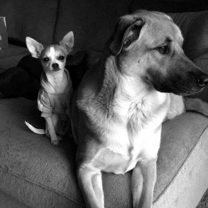 Meet your Posher, Kelsey